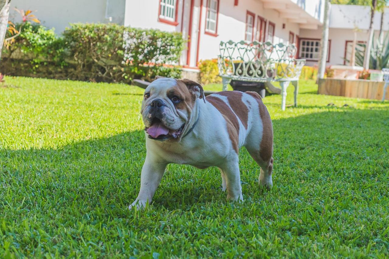 Hotel Lagoon - Pet Friendly Chetumal Esterno foto